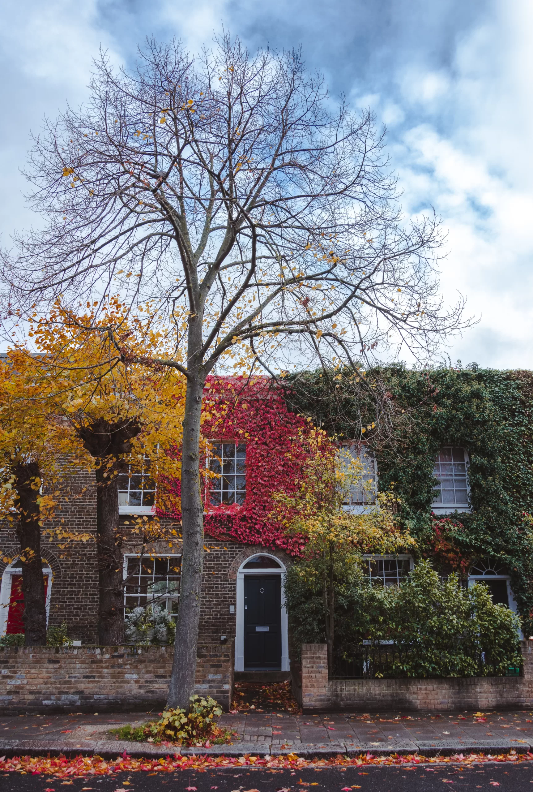 Houses with autumn trees